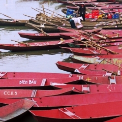 Vietnam (5)