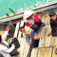 Vietnam (7)