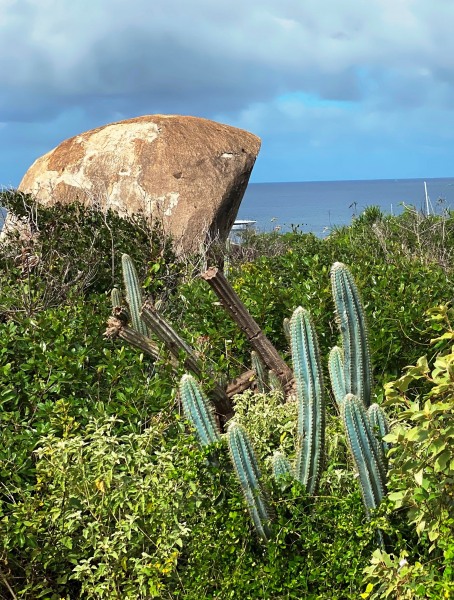 Virgin-Island-Gorda-56