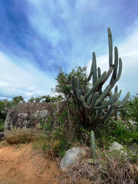 Virgin-Island-Gorda-61