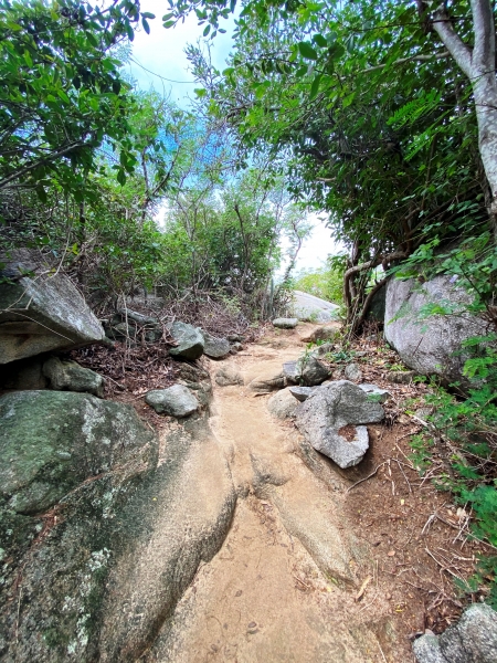 Virgin-Island-Gorda-62