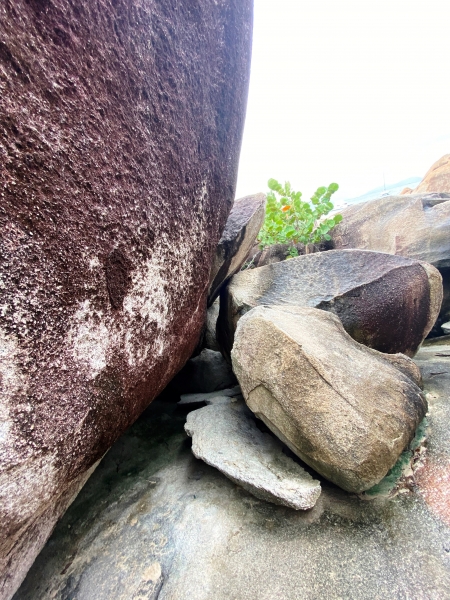 Virgin-Island-Gorda-91