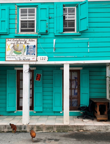 Virgin-Island-Tortola-35