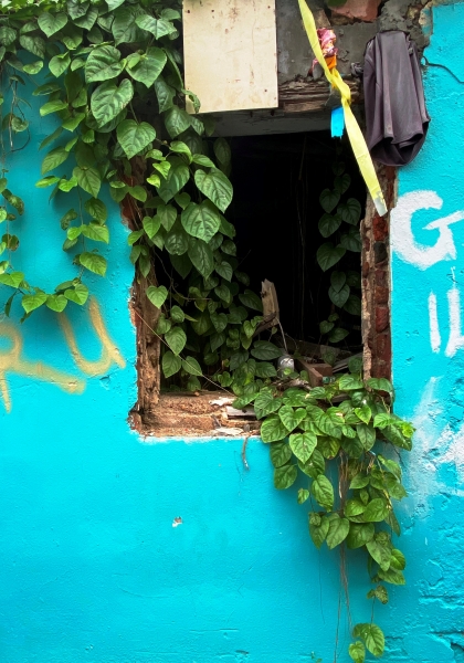 Virgin-Island-Tortola-36