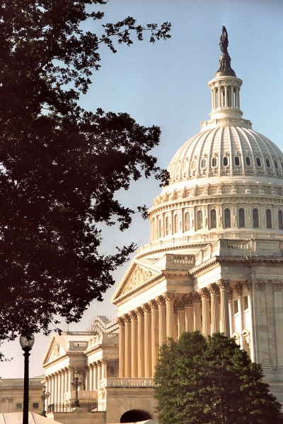VS - VIrginia (7)