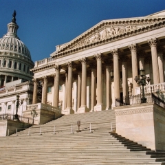 VS - VIrginia (5)