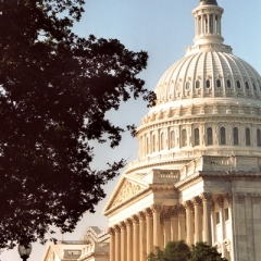 VS - VIrginia (7)