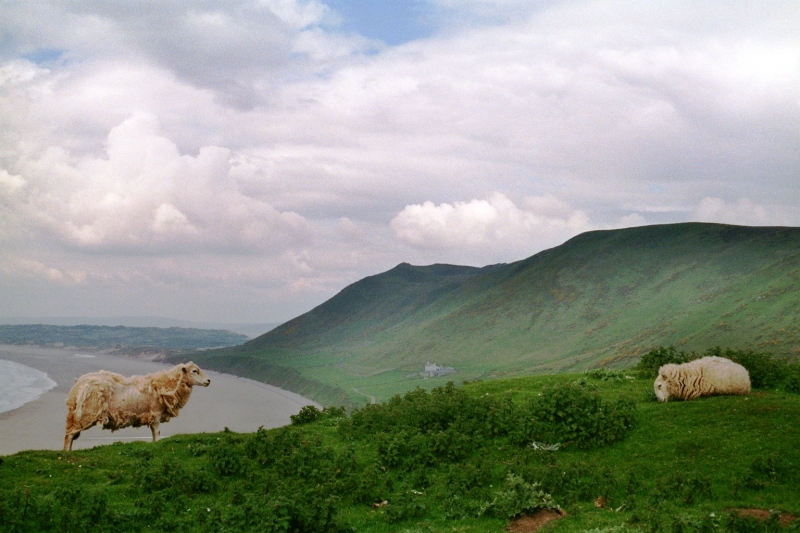 Wales (13)