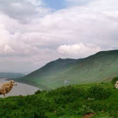Wales (13)