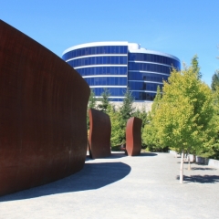 VS - Washington (9)