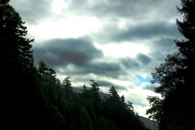 West Canada (110)