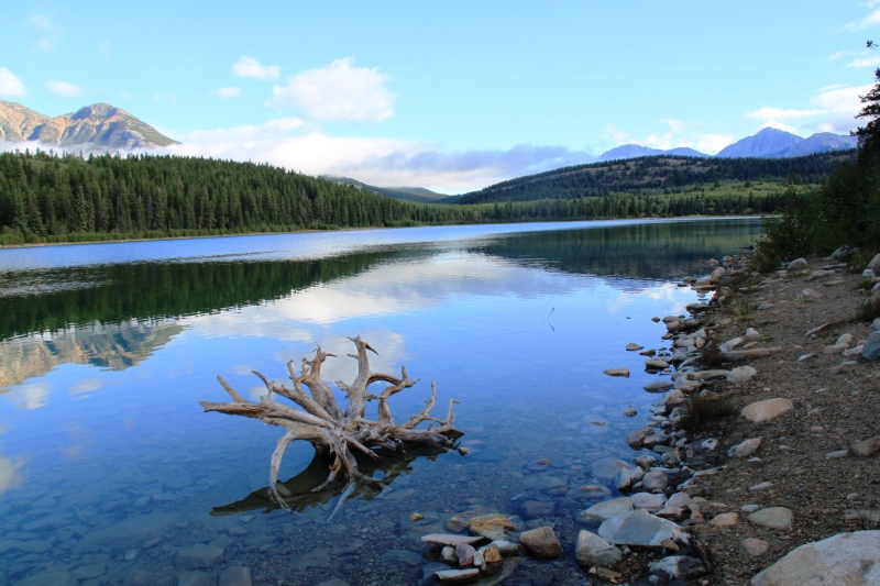 West Canada (13)