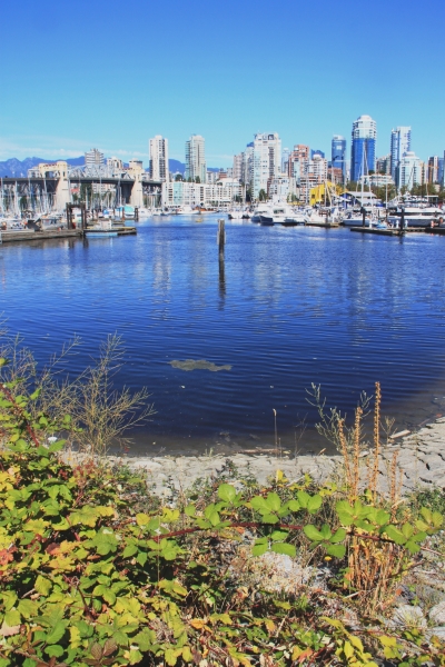 West Canada (135)
