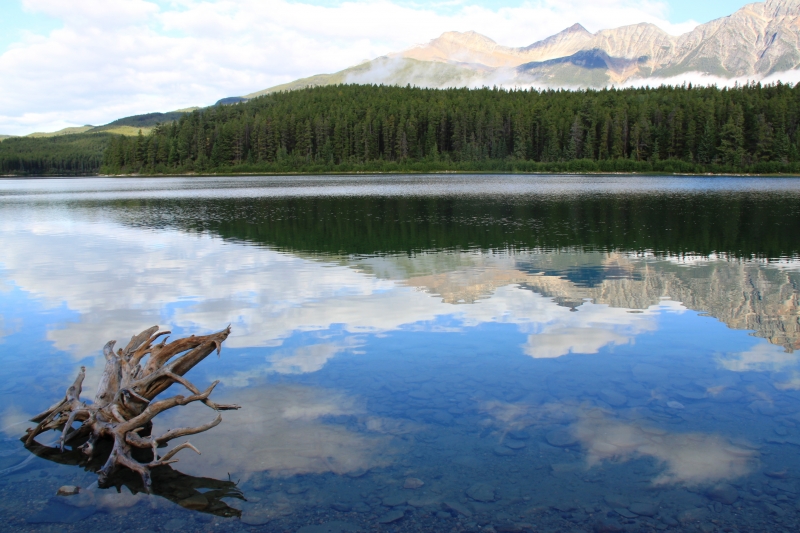 West Canada (14)