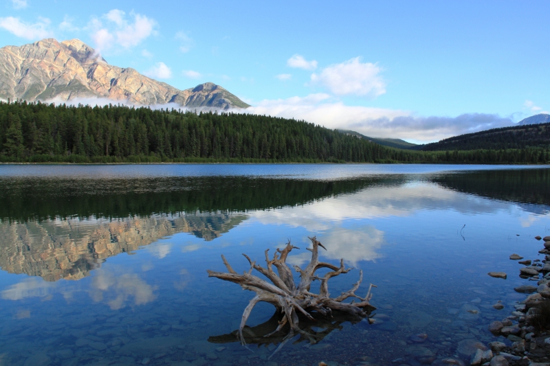 West Canada (56)