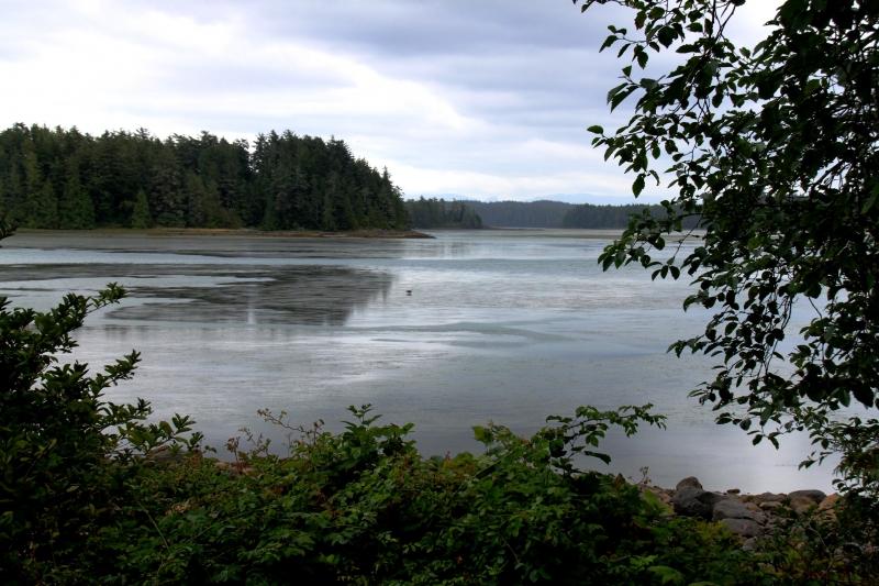 West Canada (59)