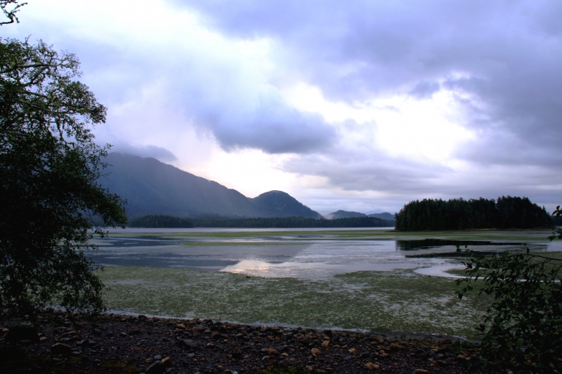 West Canada (62)
