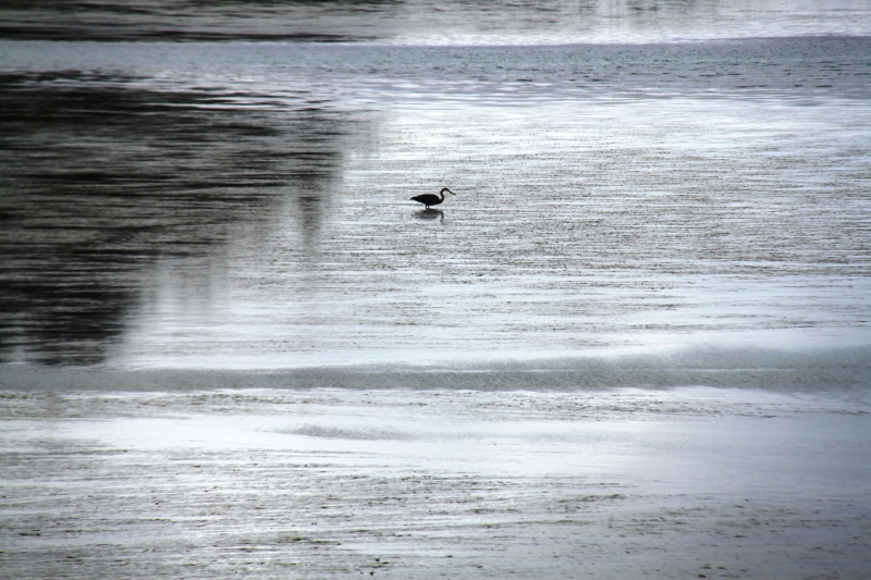 West Canada (72)