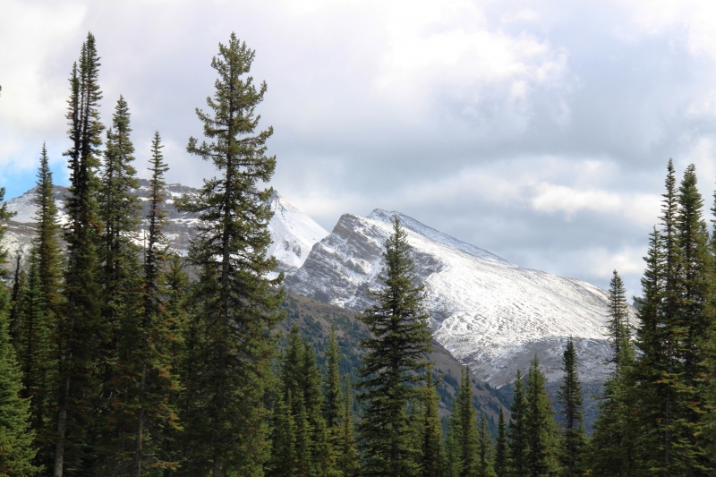 West Canada (75)
