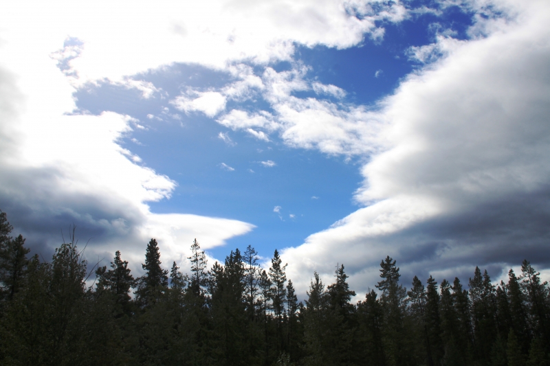 West Canada (96)