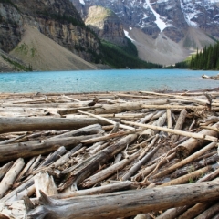 West Canada (35)