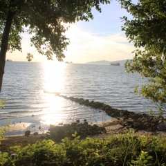 West Canada (52)