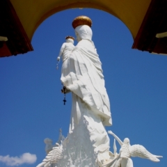 West Venezuela (50)