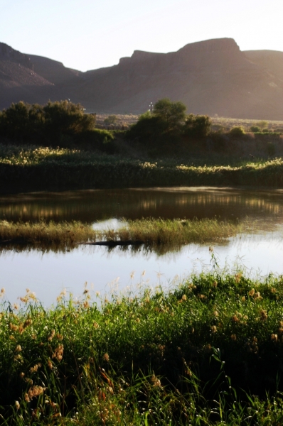 Zuid Afrika (105)