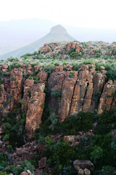 Zuid Afrika (110)