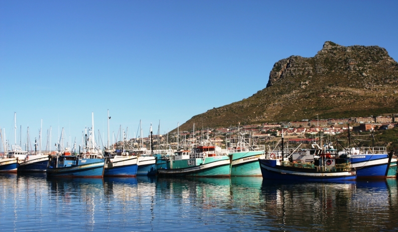 Zuid Afrika (118)