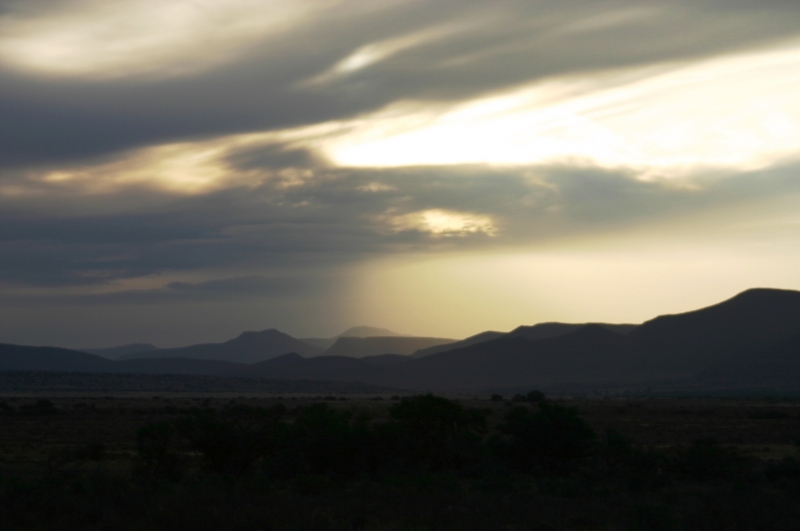 Zuid Afrika (122)