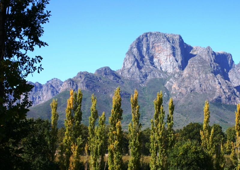 Zuid Afrika (127)