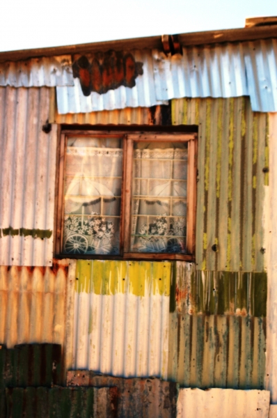 Zuid Afrika (147)
