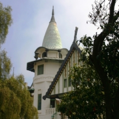 Zuid Chili (25)