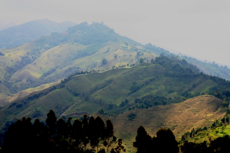 Zuid Colombia (101)