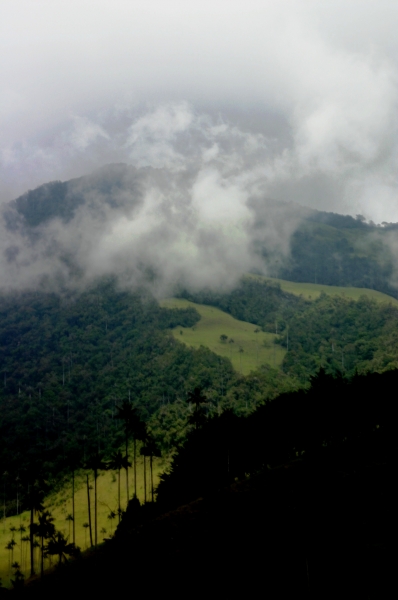 Zuid Colombia (103)