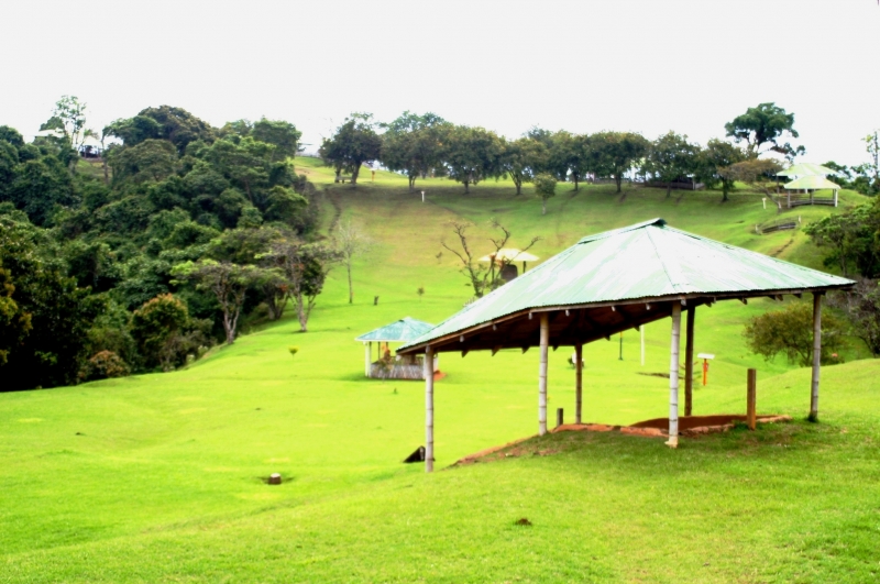 Zuid Colombia (183)