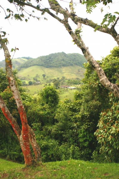 Zuid Colombia (184)