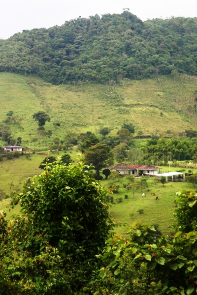Zuid Colombia (187)