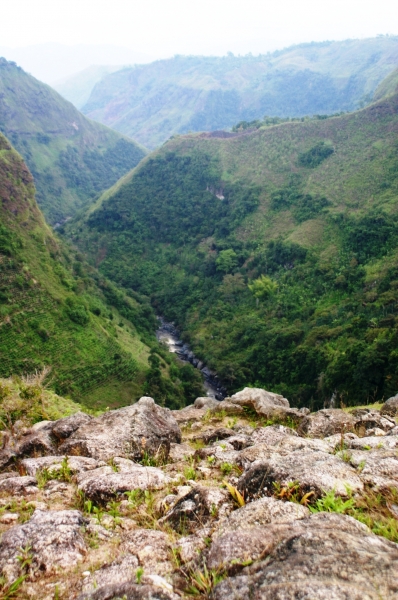Zuid Colombia (201)