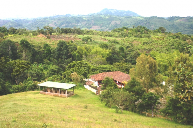 Zuid Colombia (203)