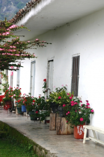 Zuid Colombia (220)