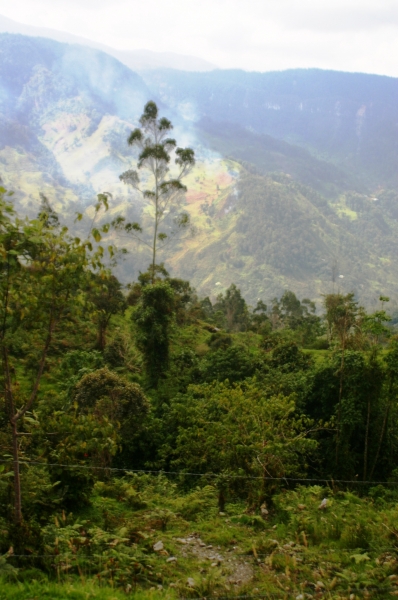 Zuid Colombia (224)