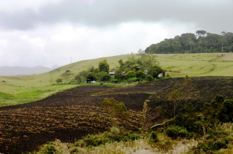 Zuid Colombia (227)