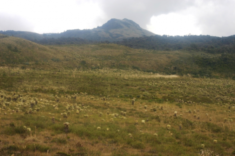 Zuid Colombia (228)