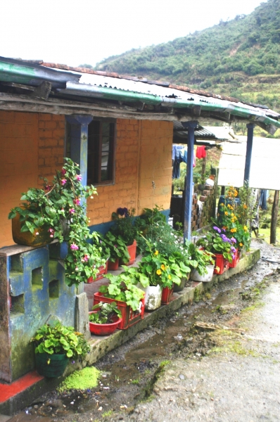Zuid Colombia (233)