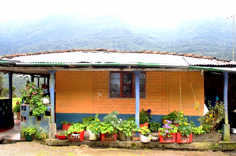 Zuid Colombia (234)