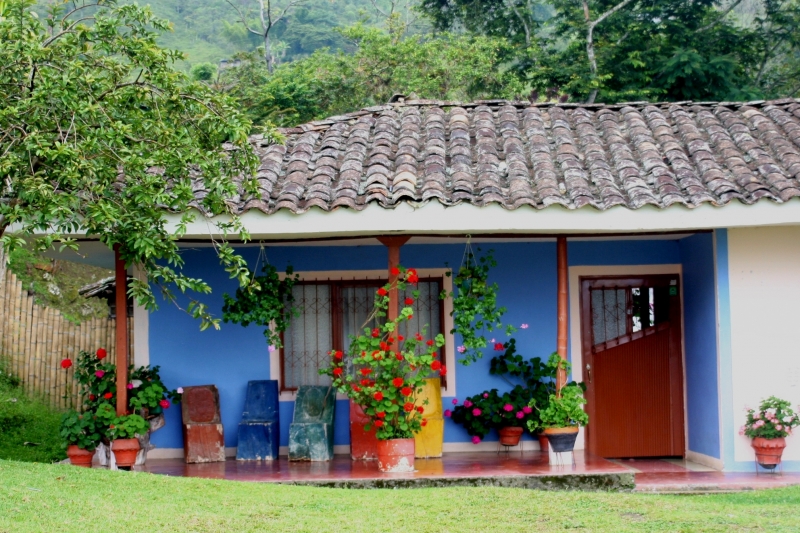Zuid Colombia (235)