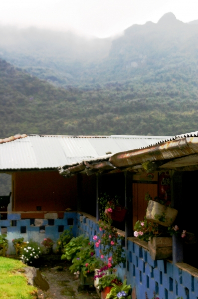 Zuid Colombia (237)