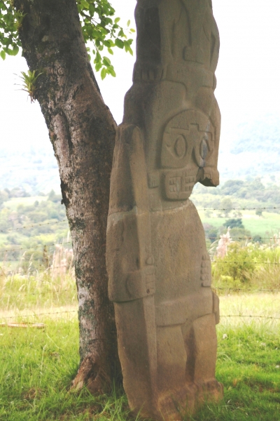 Zuid Colombia (262)